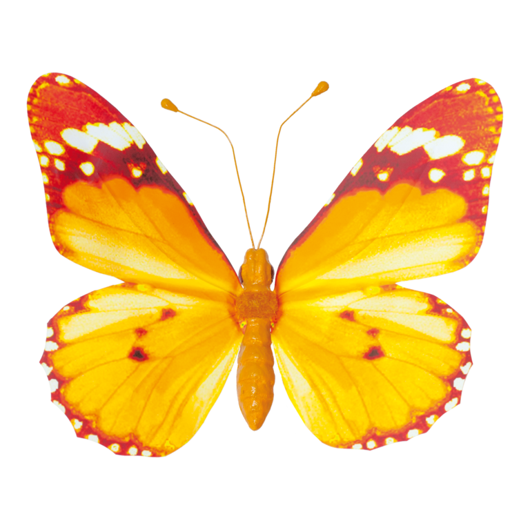 Butterfly with clip,