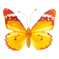 Butterfly with clip,