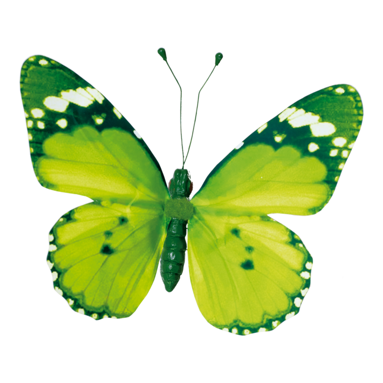 Butterfly with clip,