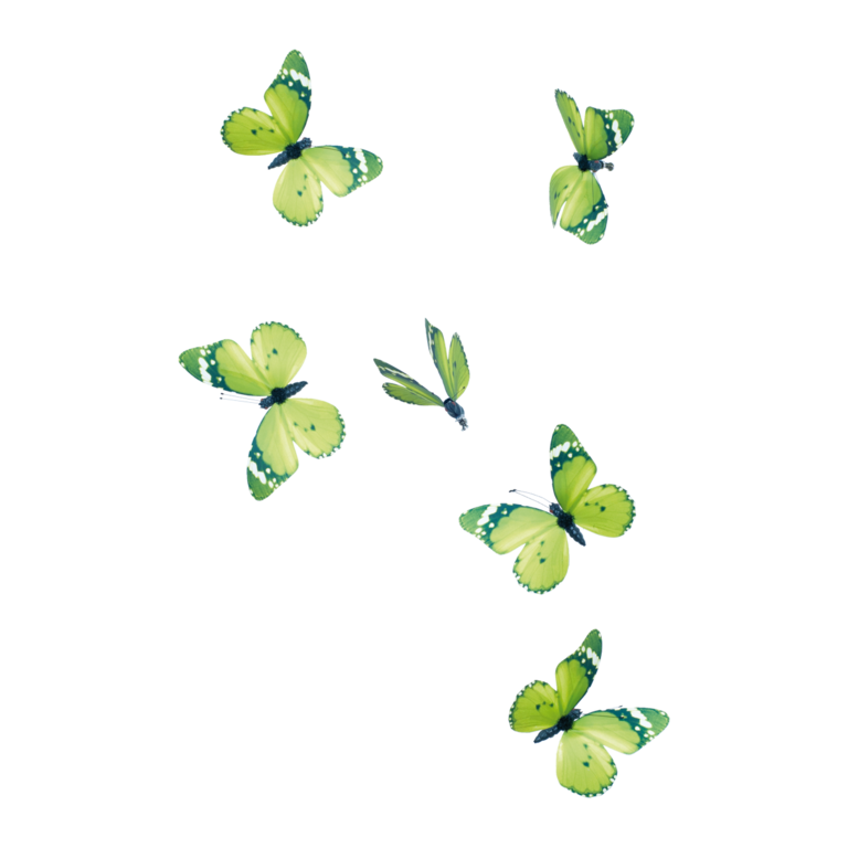 Butterfly with clip,