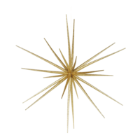 Sputnik star,
