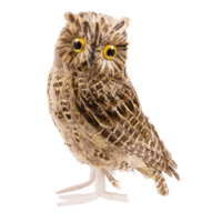 Owl,