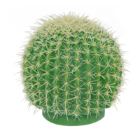 Barrel cactus,