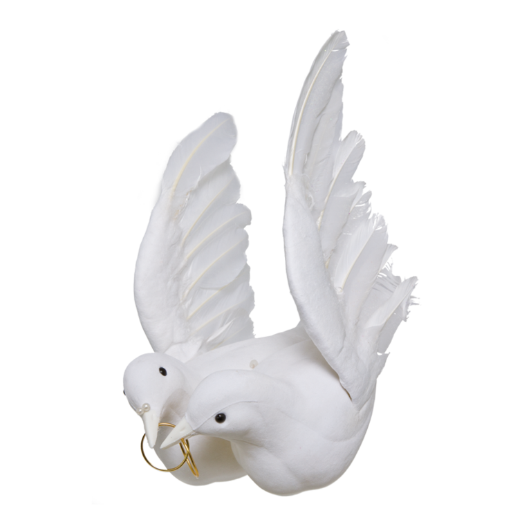 Dove pair with ring,
