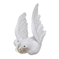 Dove pair with ring,