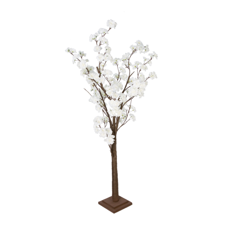 Cherry blossom tree,