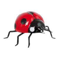 Ladybird,