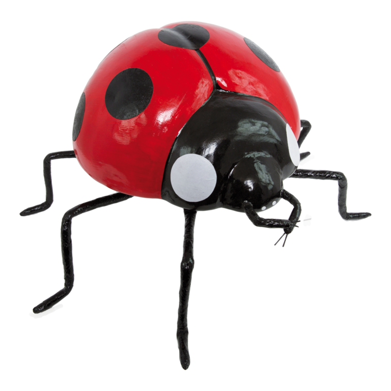 Ladybird,