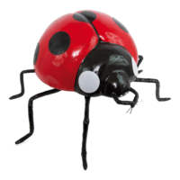 Ladybird,