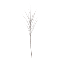 Twig, flocked,