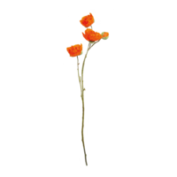 Poppy twig,