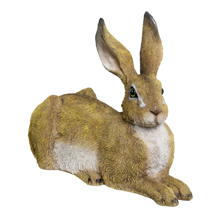 # Rabbit, lying,