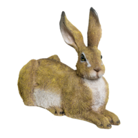 # Rabbit, lying,