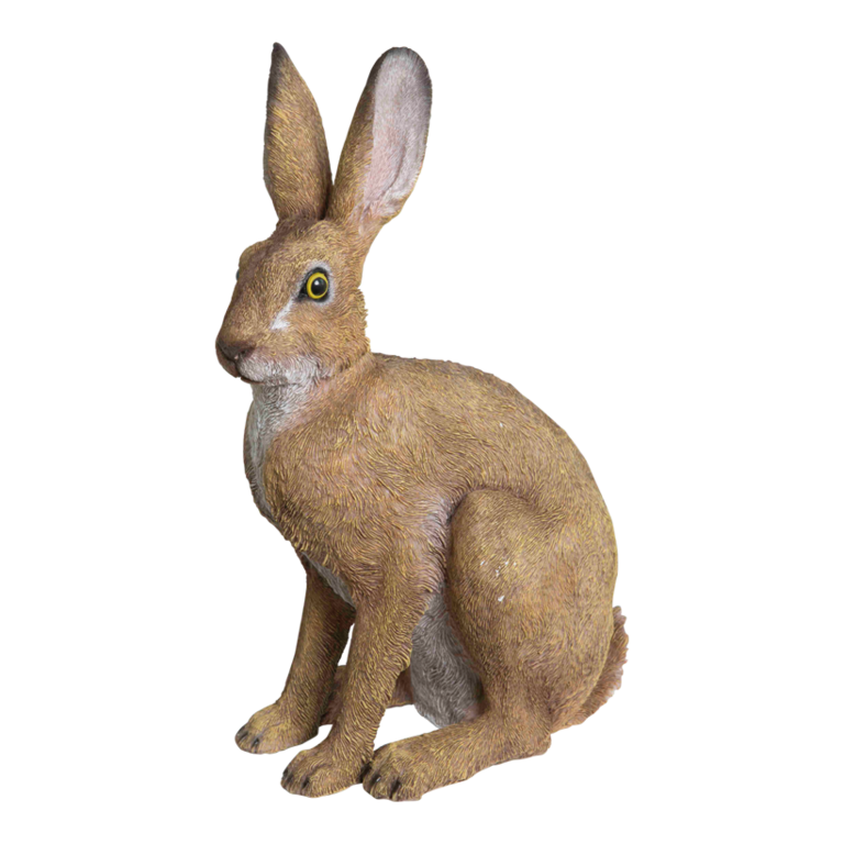 # Rabbit, sitting,
