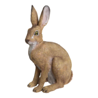 # Rabbit, sitting,