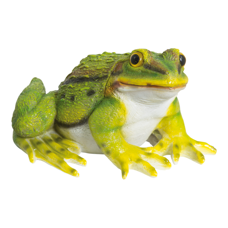 # Frog,