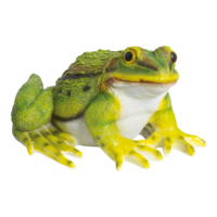 # Frog,