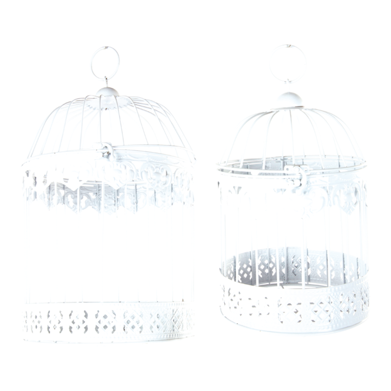 Bird cage,