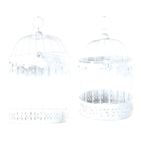 Bird cage,