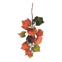 Vine leaf twig,