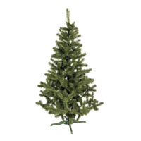 Noble fir with stand,