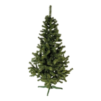 Noble fir with stand,