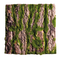 Bark plate,