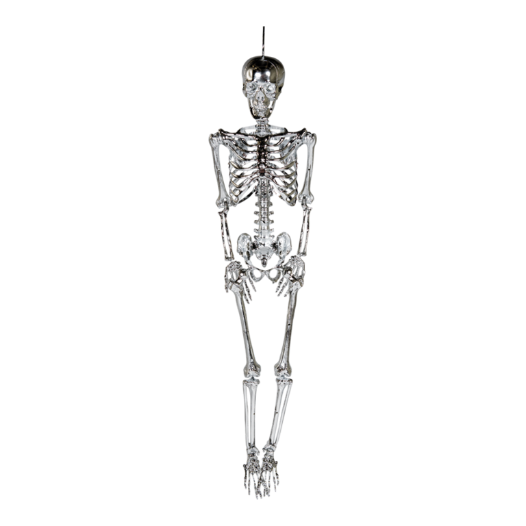 Skeleton with hanger,