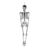 Skeleton with hanger,