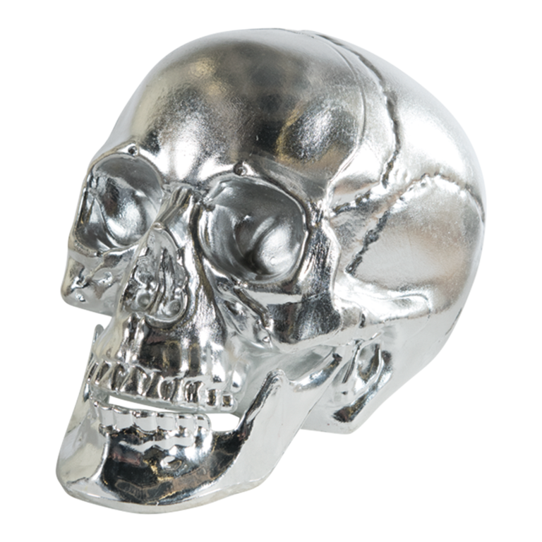 Skull,