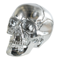 Skull,