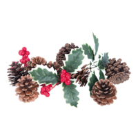 Fir cone,