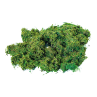 Moss in bag,