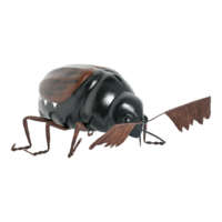 Cockchafer,