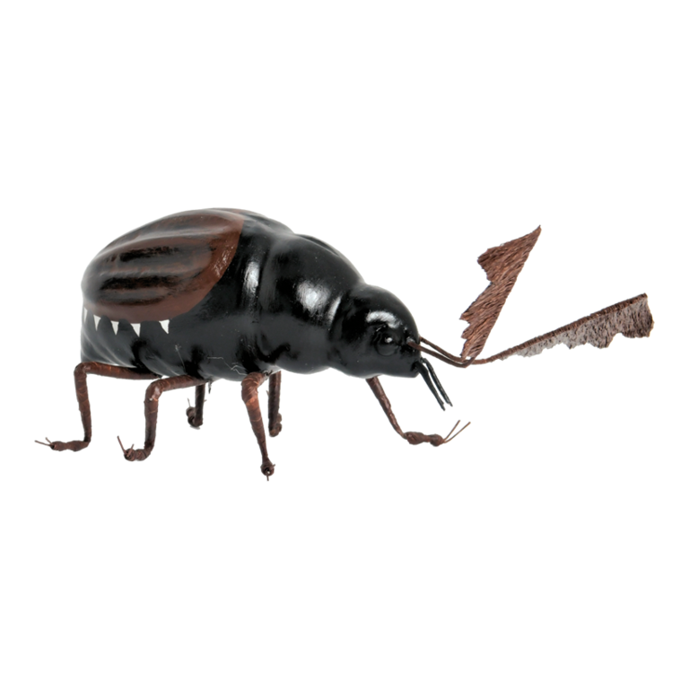 Cockchafer,