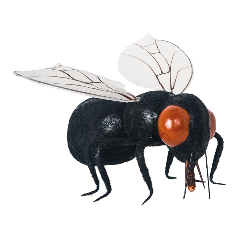 Fly,