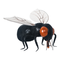 Fly,
