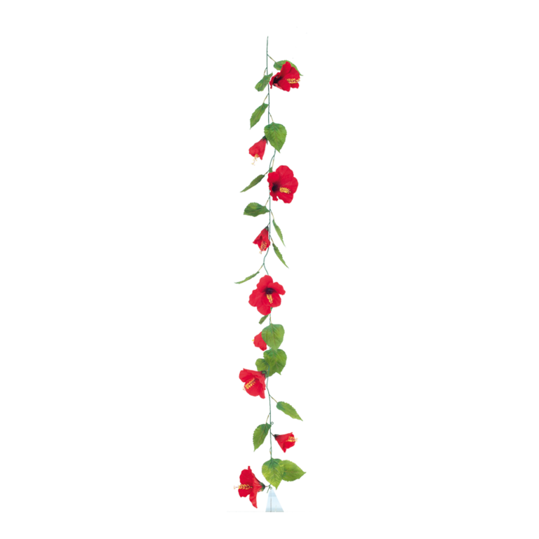 Hibiscus garland,
