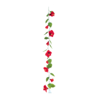 Hibiscus garland,