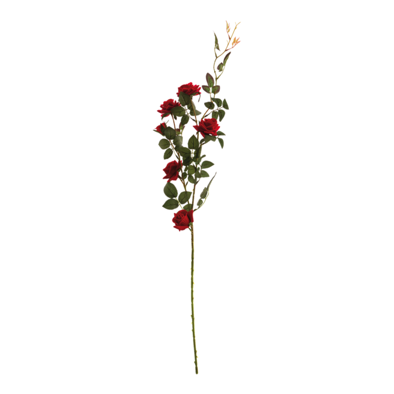 Rose spray,