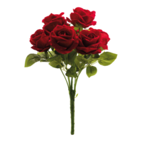 Rose bunch,
