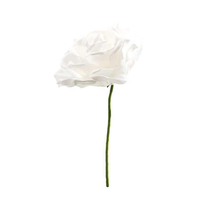 Rose head,