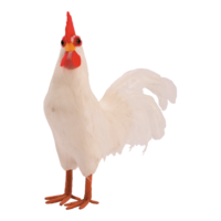Rooster,