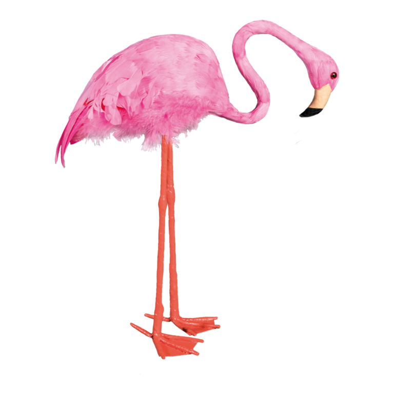 Flamingo,