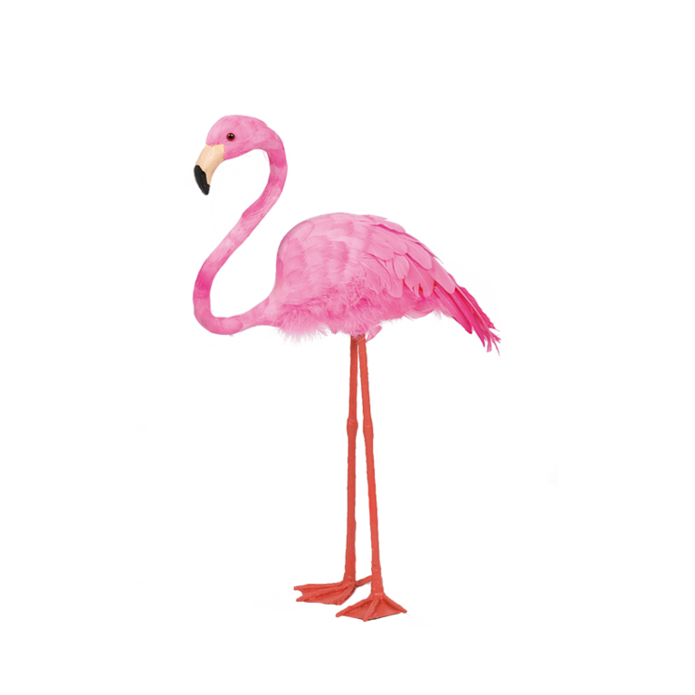 Flamingo,