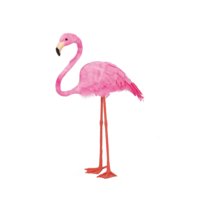 Flamingo,