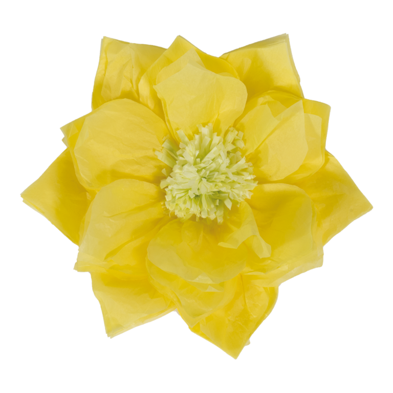 Paper flower,