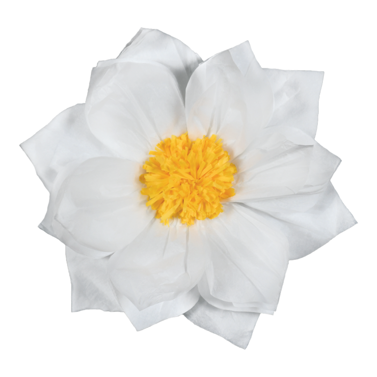 Paper flower,