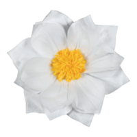 Paper flower,