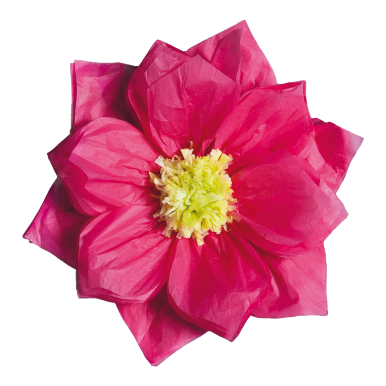 Paper flower,